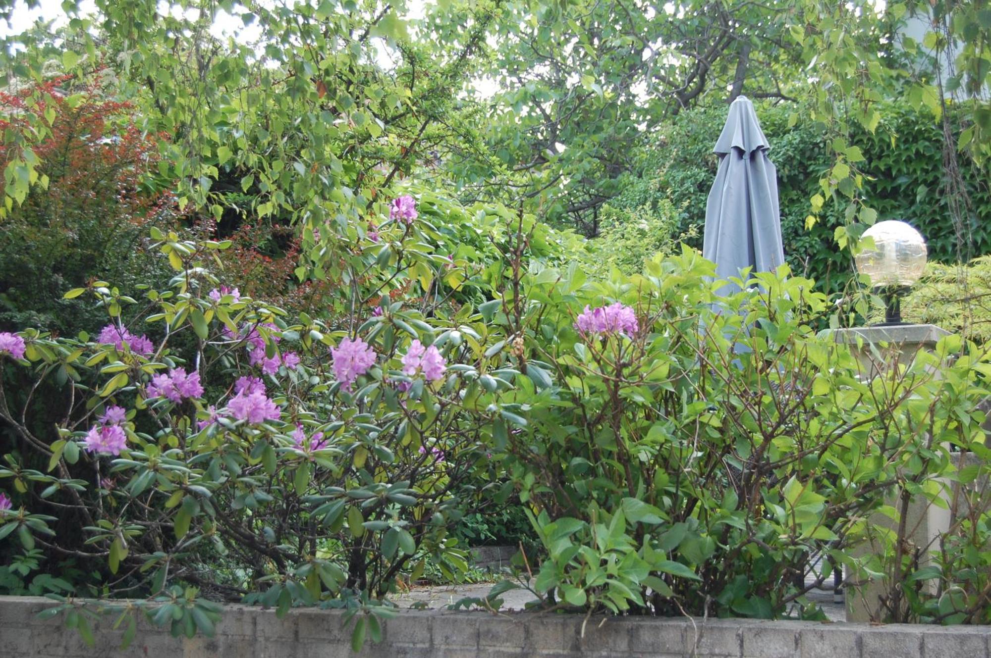 Bed and Breakfast Hofgassl Zentgraf Mörbisch am See Exterior foto