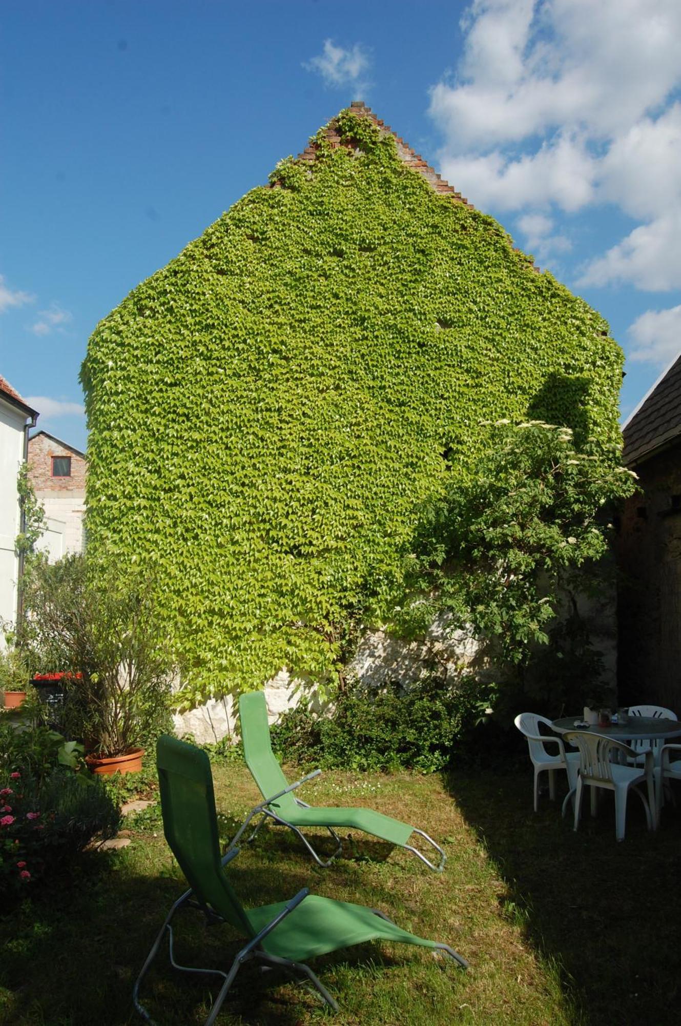 Bed and Breakfast Hofgassl Zentgraf Mörbisch am See Exterior foto