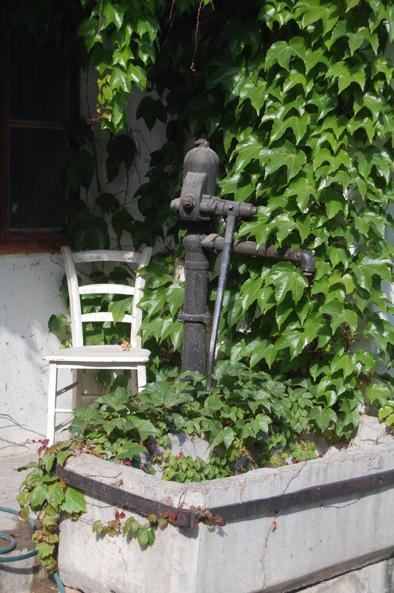 Bed and Breakfast Hofgassl Zentgraf Mörbisch am See Exterior foto