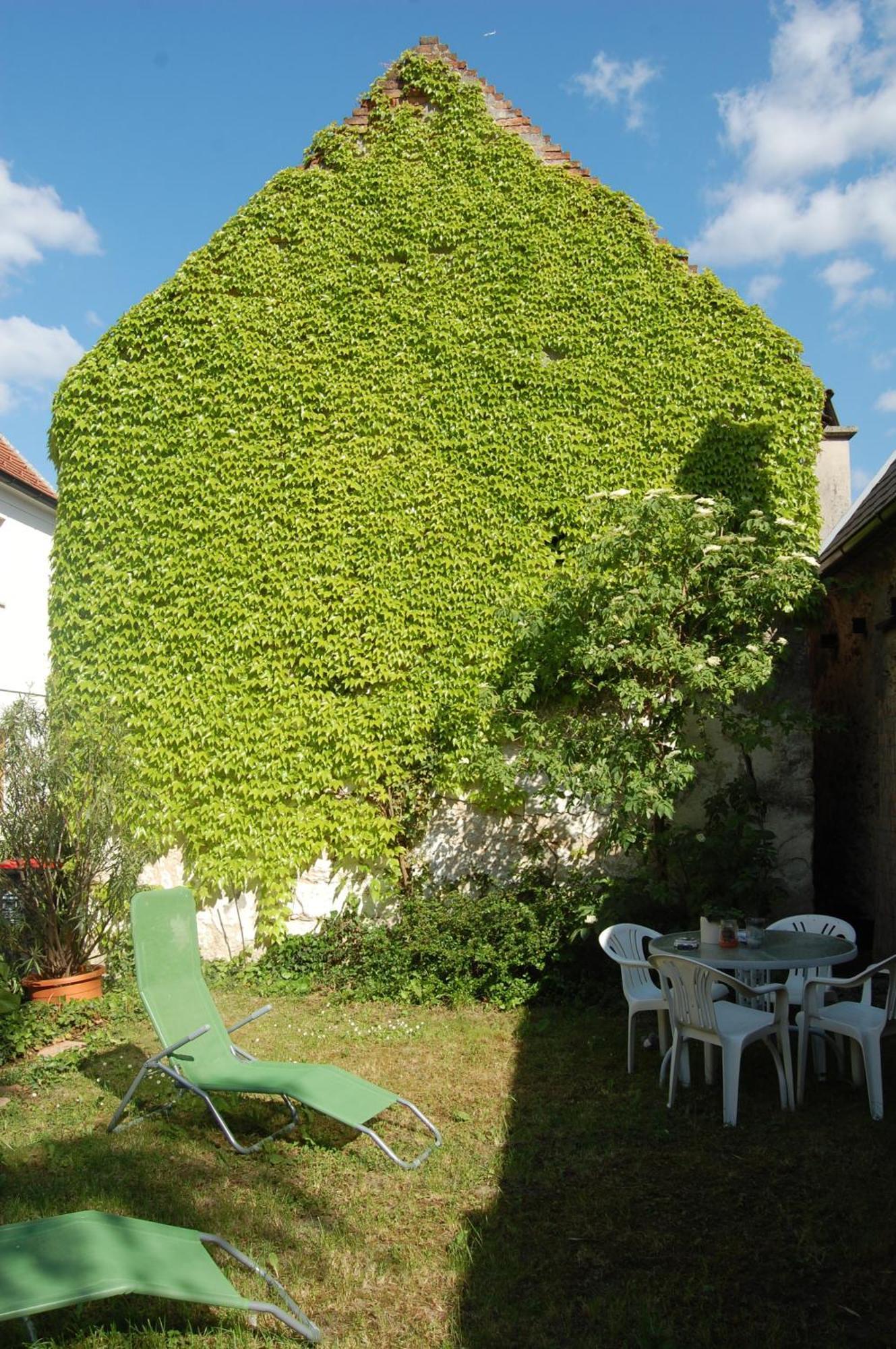 Bed and Breakfast Hofgassl Zentgraf Mörbisch am See Exterior foto